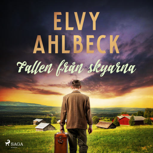 Portada del audiolibro «Fallen från skyarna», de Elvy Ahlbeck