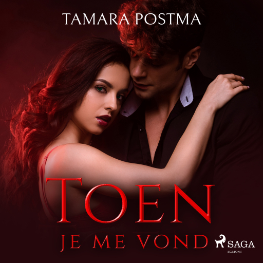 Portada del audiolibro «Toen je me vond», de Tamara Postma