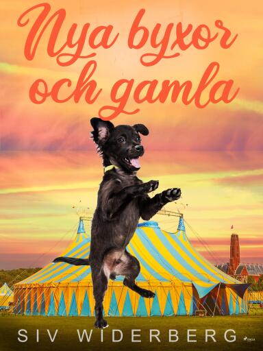 Portada del libro «Nya byxor och gamla», de Siv Widerberg