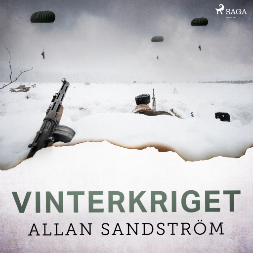 Portada del audiolibro «Vinterkriget», de Allan Sandström