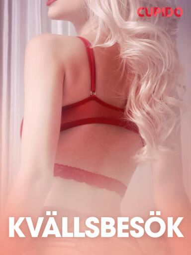 Portada del libro «Kvällsbesök - erotiska noveller», de Cupido