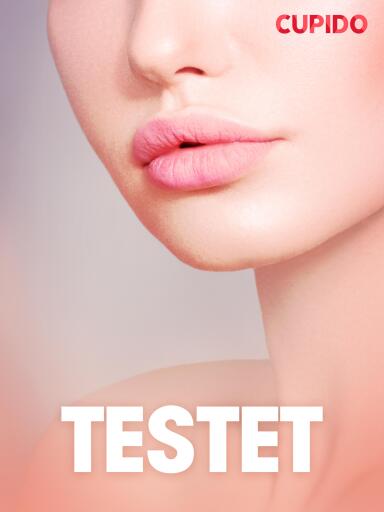 Portada del libro «Testet - erotiska noveller», de Cupido