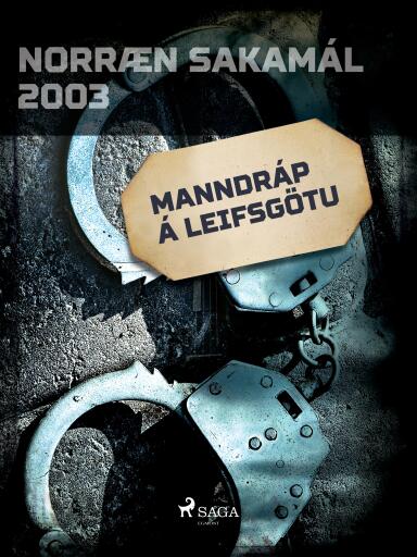 Portada del libro «Manndráp á Leifsgötu», de Forfattere Diverse