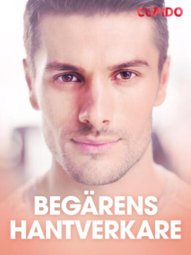 Portada del libro «Begärens hantverkare - erotiska noveller», de Cupido