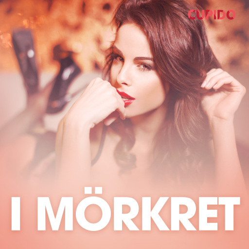 Portada del audiolibro «I mörkret – erotisk novell», de Cupido