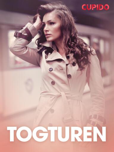 Portada del libro «Togturen - erotiske noveller», de Cupido