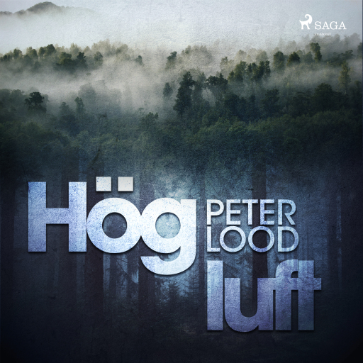 Portada del audiolibro «Hög luft», de Peter Lood