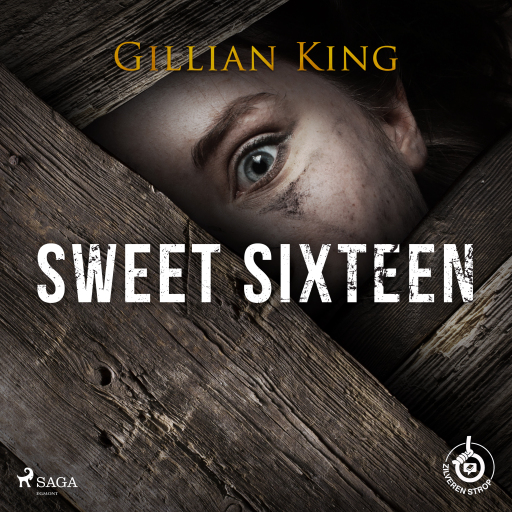 Portada del audiolibro «Sweet sixteen», de Gillian King