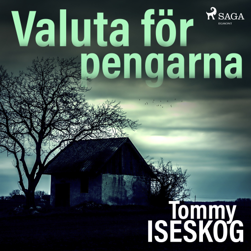Portada del audiolibro «Valuta för pengarna», de Tommy Iseskog