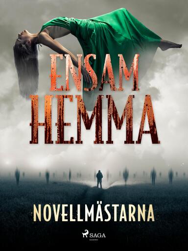 Portada del libro «Ensam hemma», de Novellmästarna