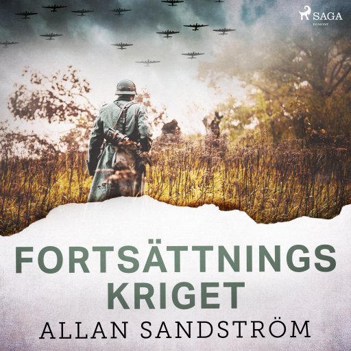 Portada del audiolibro «Fortsättningskriget», de Allan Sandström