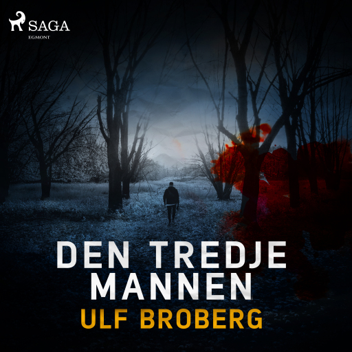 Portada del audiolibro «Den tredje mannen», de Ulf Broberg