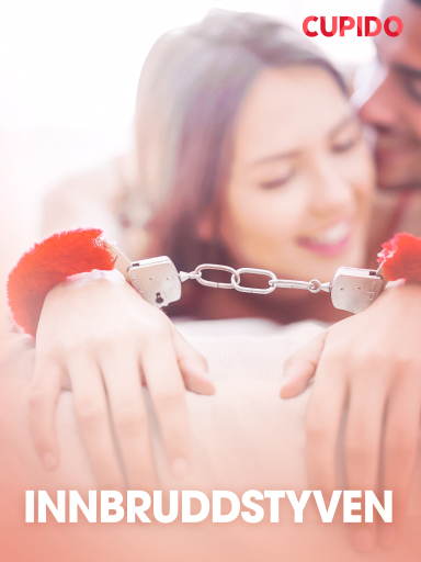 Portada del libro «Innbruddstyven – erotiske noveller», de Cupido