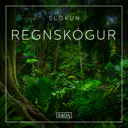 Portada del audiolibro «Slökun - Regnskógur», de Rasmus Broe