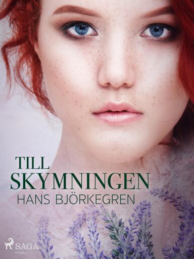 Portada del libro «Till skymningen», de Hans Björkegren