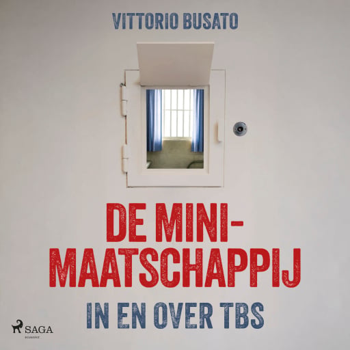 De minimaatschappij: In en over TBS