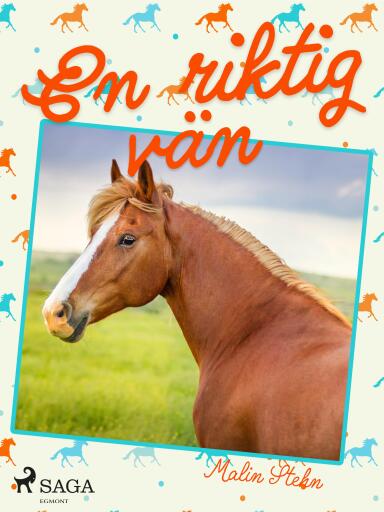 Portada del libro «En riktig vän», de Malin Stehn