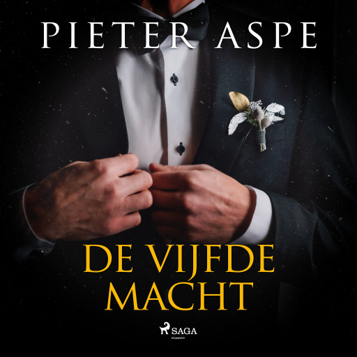 Portada del audiolibro «De vijfde macht», de Pieter Aspe