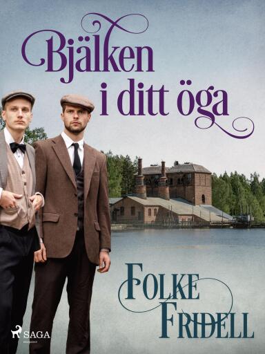 Portada del libro «Bjälken i ditt öga», de Folke Fridell