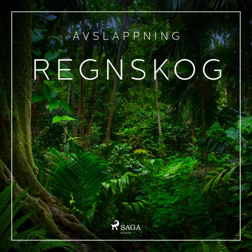 Avslappning - Regnskog
