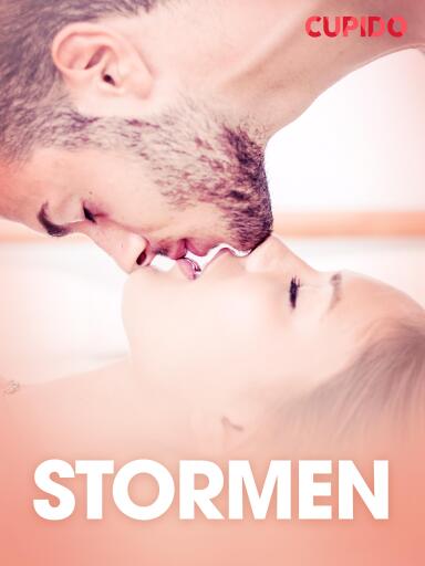 Portada del libro «Stormen - erotiske noveller», de Cupido