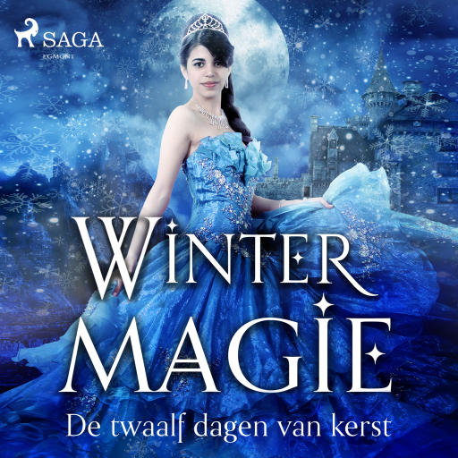 Portada del audiolibro «Wintermagie»