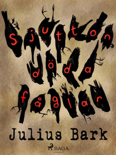 Portada del libro «Sjutton döda fåglar», de Julius Bark
