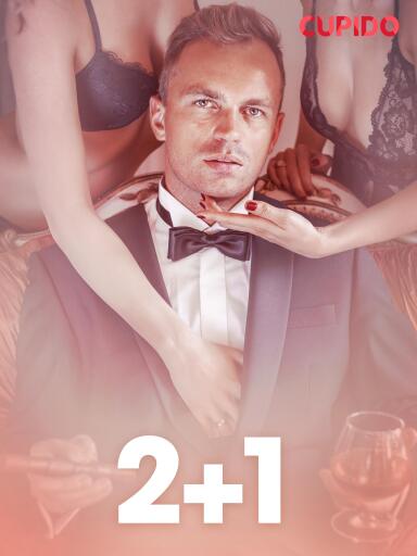 Portada del libro «2+1 – erotiske noveller», de Cupido