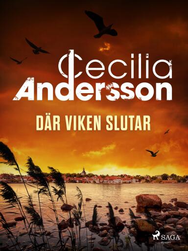 Portada del libro «Där viken slutar»