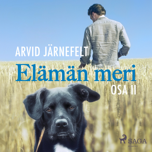 Portada del audiolibro «Elämän meri, osa 2», de Arvid Järnefelt