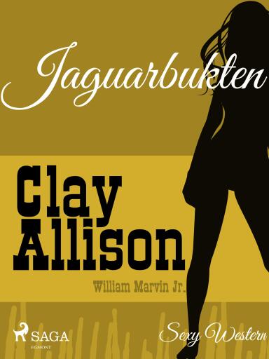 Portada del libro «Jaguarbukten», de William Marvin Jr, Clay Allison