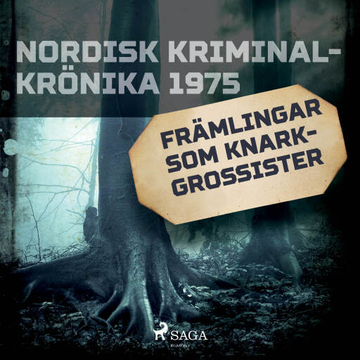 Portada del audiolibro «Främlingar som knarkgrossister», de Diverse