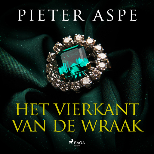 Portada del audiolibro «Het vierkant van de wraak», de Pieter Aspe