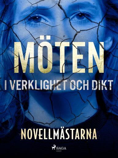 Portada del libro «Möten i verklighet och dikt», de Novellmästarna