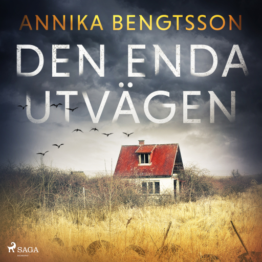 Portada del audiolibro «Den enda utvägen», de Annika Bengtsson
