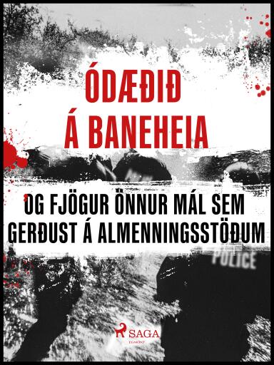 Portada del libro «Ódæðið á Baneheia og fjögur önnur mál sem gerðust á almenningsstöðum», de Ýmsir