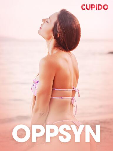 Portada del libro «Oppsyn – erotisk novelle», de Cupido
