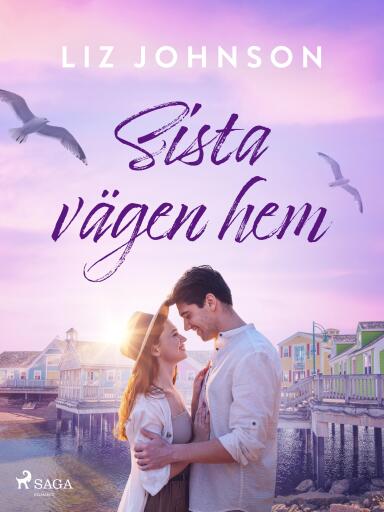 Portada del libro «Sista vägen hem», de Liz Johnson