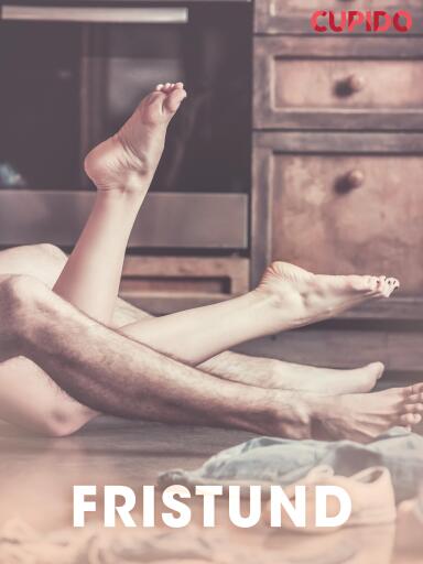 Portada del libro «Fristund – erotiske noveller», de Cupido