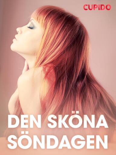 Portada del libro «Den sköna söndagen - erotiska noveller», de Cupido