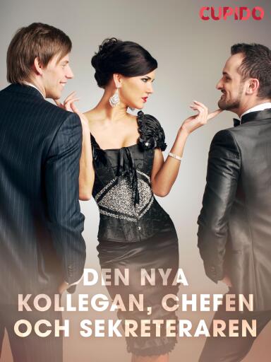 Portada del libro «Den nya kollegan, chefen och sekreteraren», de Cupido
