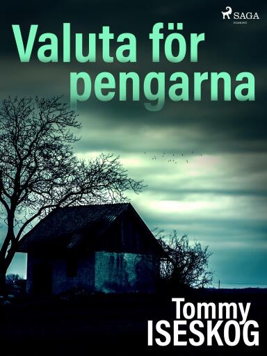 Portada del libro «Valuta för pengarna»