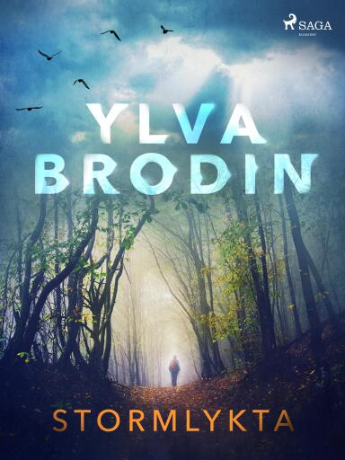 Portada del libro «Stormlykta», de Ylva Brodin