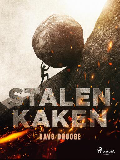 Portada del libro «Stalen kaken», de Bavo Dhooge