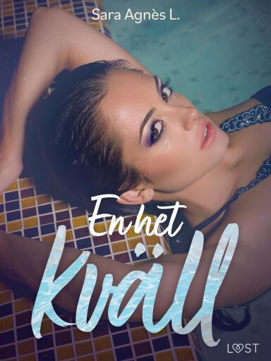 En het kväll - erotisk novell