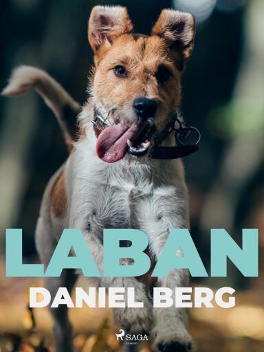 Portada del libro «Laban»
