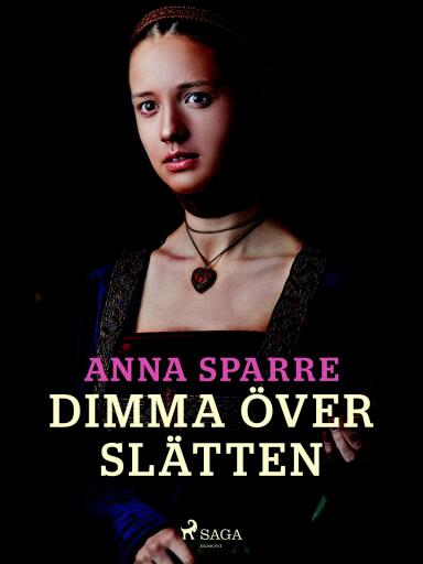 Portada del libro «Dimma över slätten», de Anna Sparre