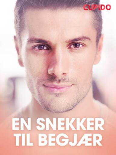 Portada del libro «En snekker til begjær», de Cupido
