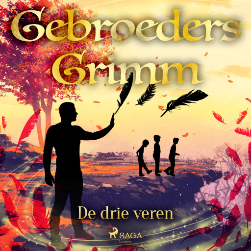 Portada del audiolibro «De drie veren», de De gebroeders Grimm