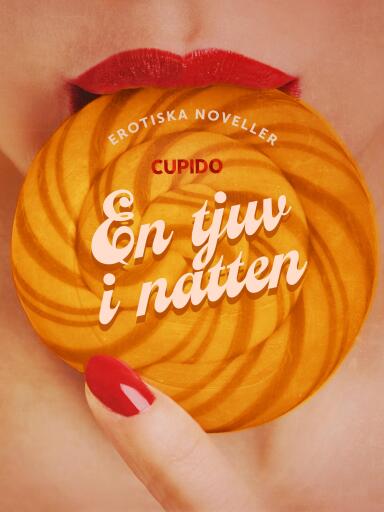 Portada del libro «En tjuv i natten - erotiska noveller», de Cupido